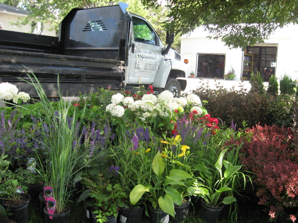 Loading Plants